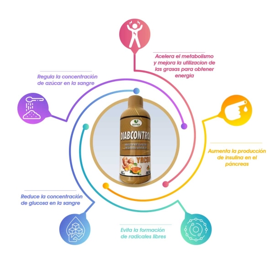 productos 2e 1